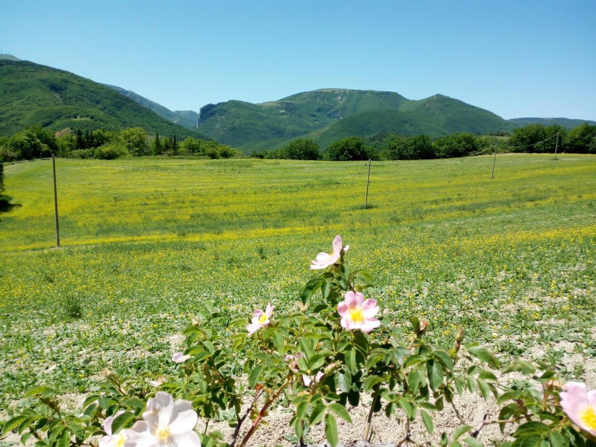 Agriturismo Del Frontino - Lo Studio อัคกวาลาญา ภายนอก รูปภาพ