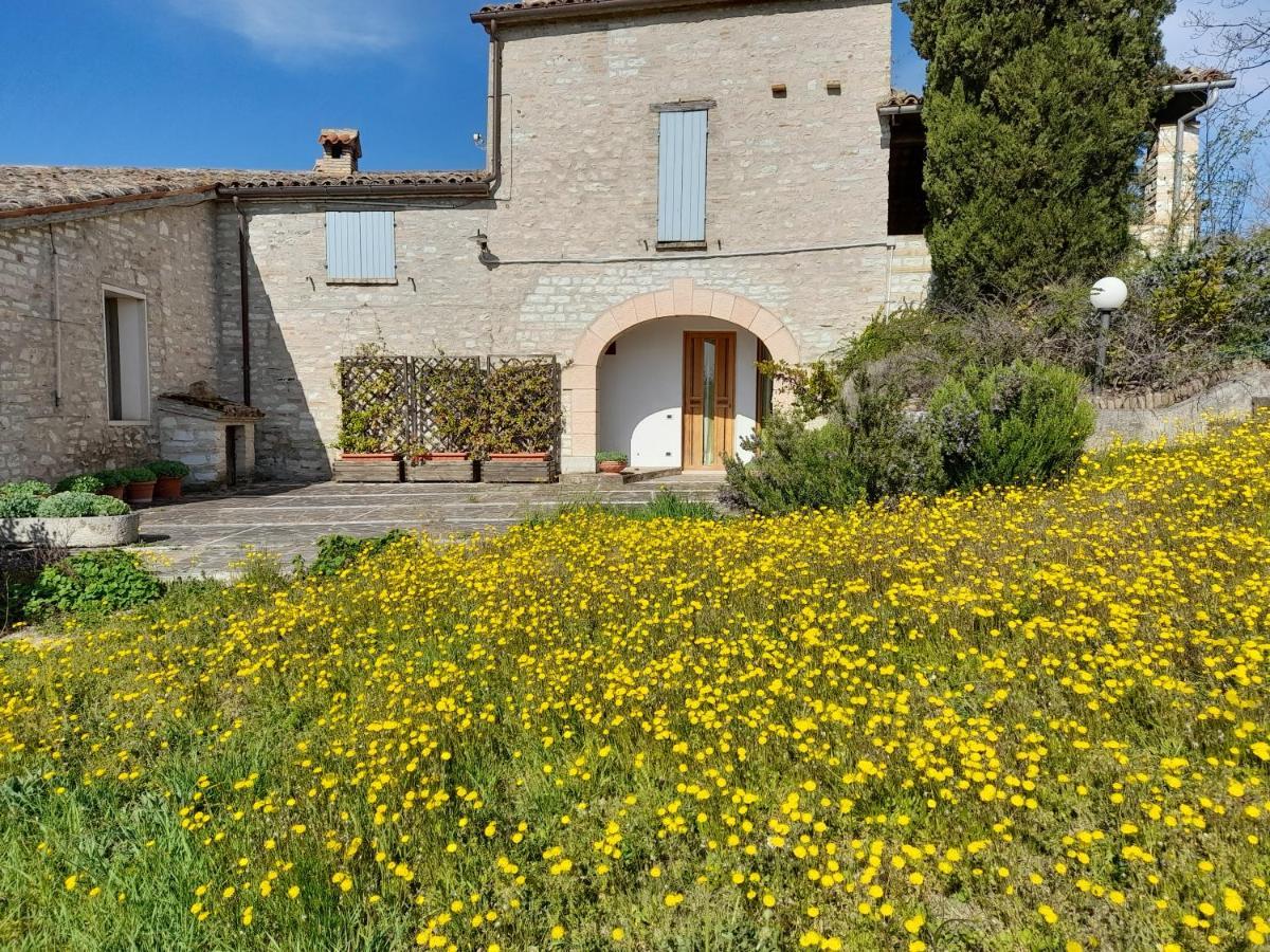 Agriturismo Del Frontino - Lo Studio อัคกวาลาญา ภายนอก รูปภาพ